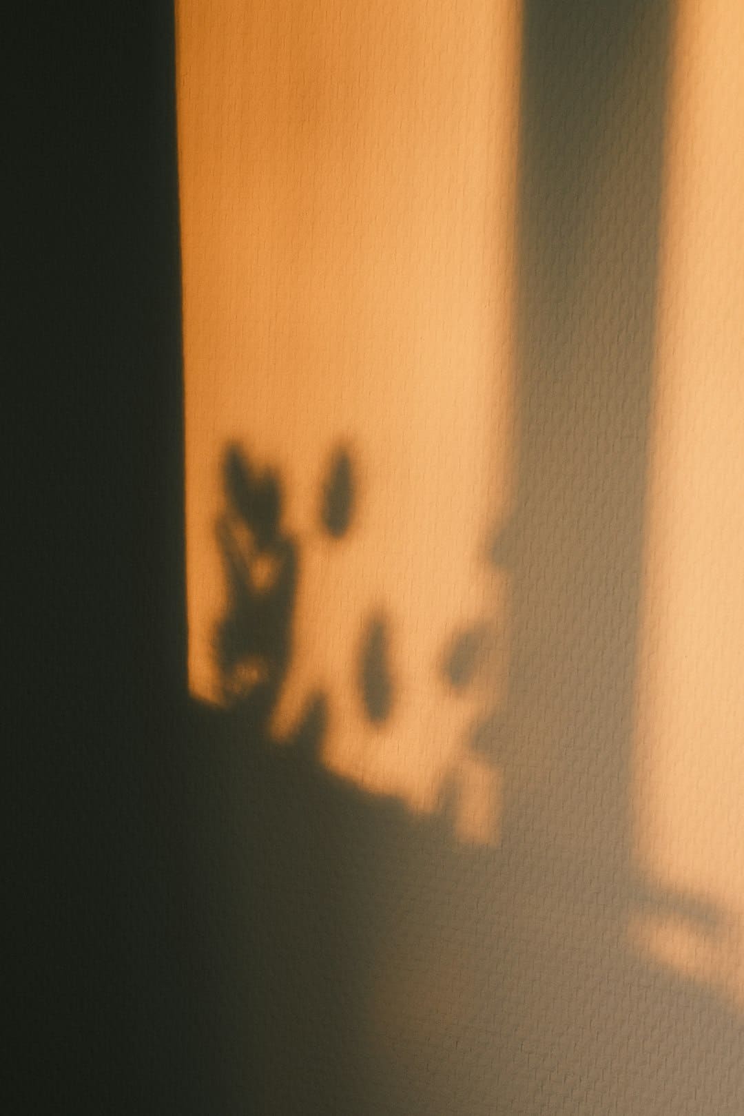 新同学,与“智能原生”同行